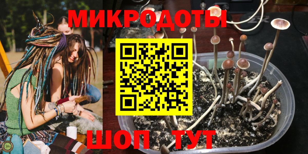 Назрань  Галлюциногенные грибы Psilocybe  Галлюциногенные грибы MAGIC MUSHROOMS  Вход с VPN 