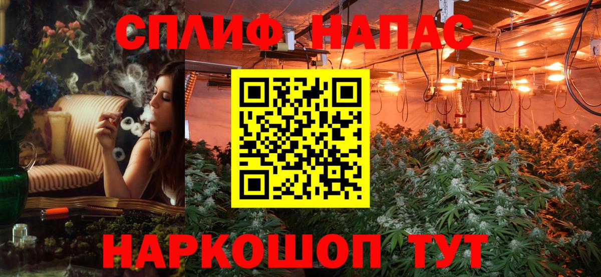Бошки марихуана Amnesia  Вход с VPN  Конопля сатива  Назрань 